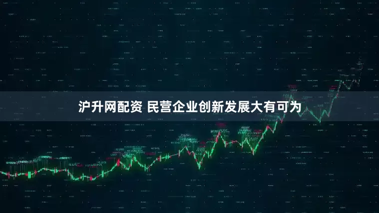 沪升网配资 民营企业创新发展大有可为